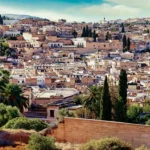 el monte